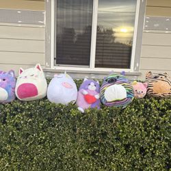 Squishmallows 