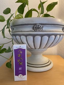 Young Living ART Gentle Cleanser 3.8 oz New Sealed