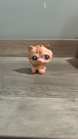LPS Tan Chow-Chow