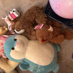 Full Box Of 50 Stuffies And Teddy Bears 