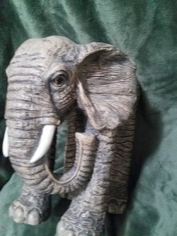 11 inches Wooden caved collectable Elephant