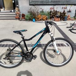 Just Tuned Up, Giant Revel W 24 Speed