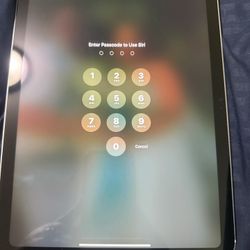 2025 iPad 