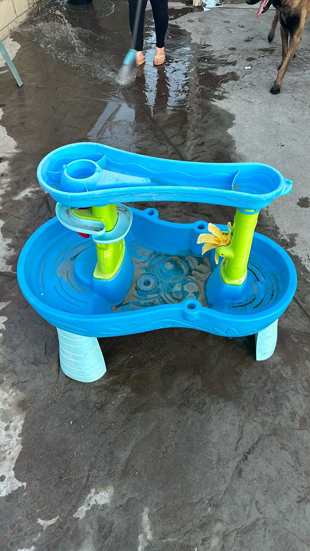 Water Table