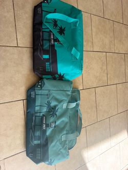 Trader Joe's Reusable Insulated Bags – Set of 2
