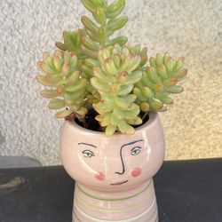 Opal house Face Planter Pot With Succulents 