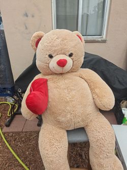 Teddy Bear