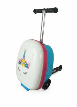 Zflyte luggage turned scooter