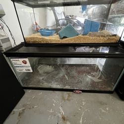 2 FISH TANKS 