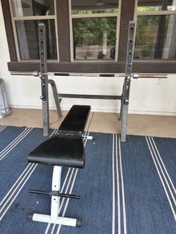 Standard Olympic Level Bench Press + Weights