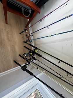 Multiple rods. Penn rods 125$ each. Others ask