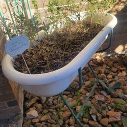 Antique Planter Tub
