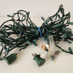 100-Led Lights Clear Bulb - Green Wire Indoor/Outdoor 