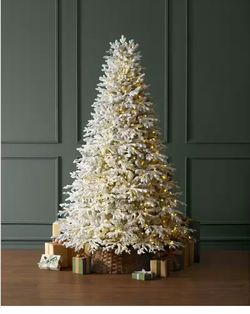 Home Depot Trees. Home Decorators Collection SOLD OUT VIRAL