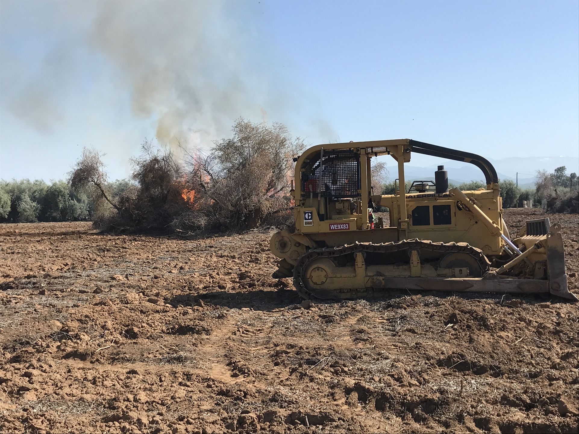 Rector’s Dozer Work