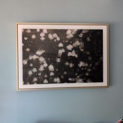 Professionally Framed Custom Photography 