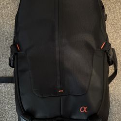 Sony LCS-BP2 Backpack Carrying Case Camera