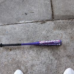 Easton Youth  Baseball & Softball Fast pitch Bat