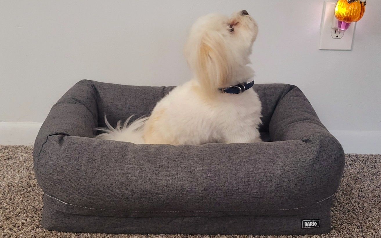 BARKBox Small Dog Bed