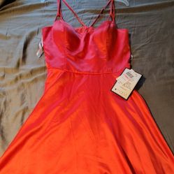 Dress 13/14