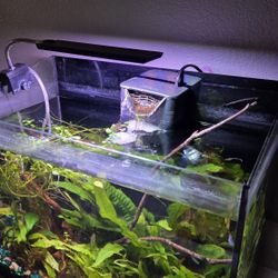 Aquarium Light for small tanks 