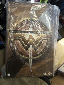 Wonder Woman Training Armor