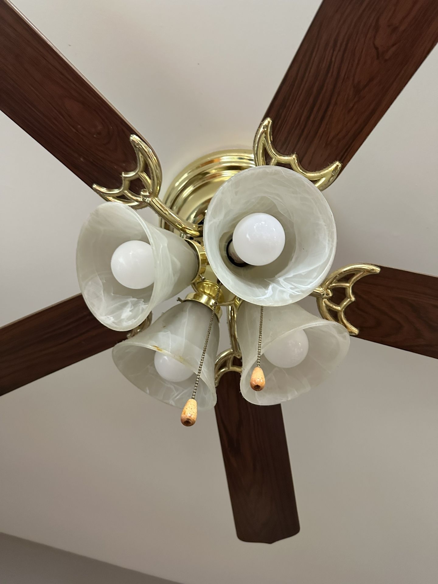 Ceiling Fan. Getting Hot Out There!