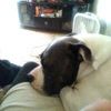 lucy
