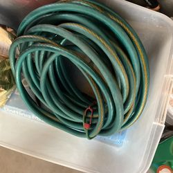 Garden Hose 75’ Green