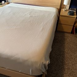 IKEA Queen Size Bed Frame (no Mattress) 