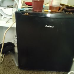 Mini Fridge 