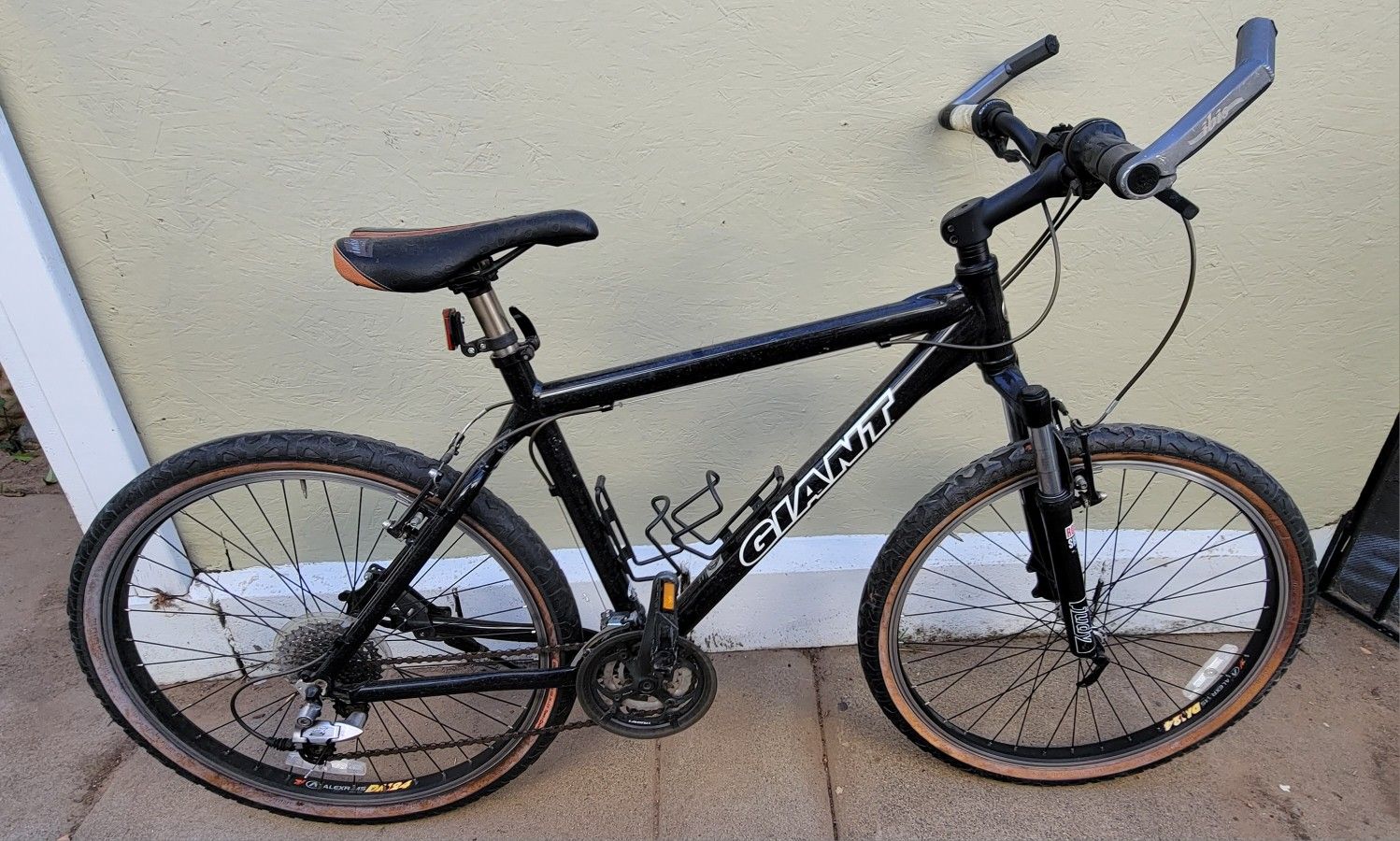 Giant Bike