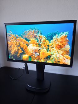 ViewSonic 24" Monitor FHD 1080p - Great for Gaming!