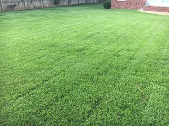 Grass For Sale 