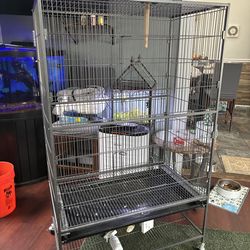 Bird cage large avian type