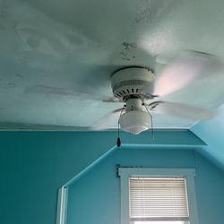 Ceiling Fan