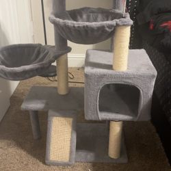 Cat Tree