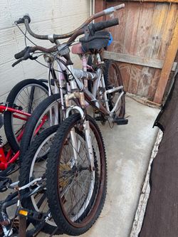 Silver Mountain Bike