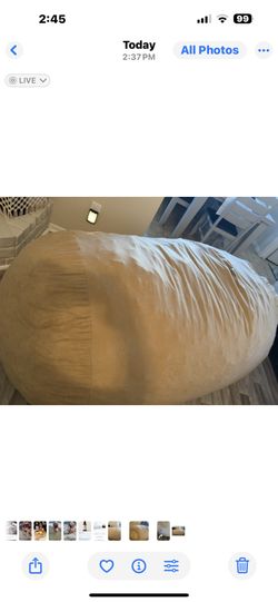 Big Bean Bag $50