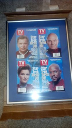 Star Trek TV Guide, mounted and framed