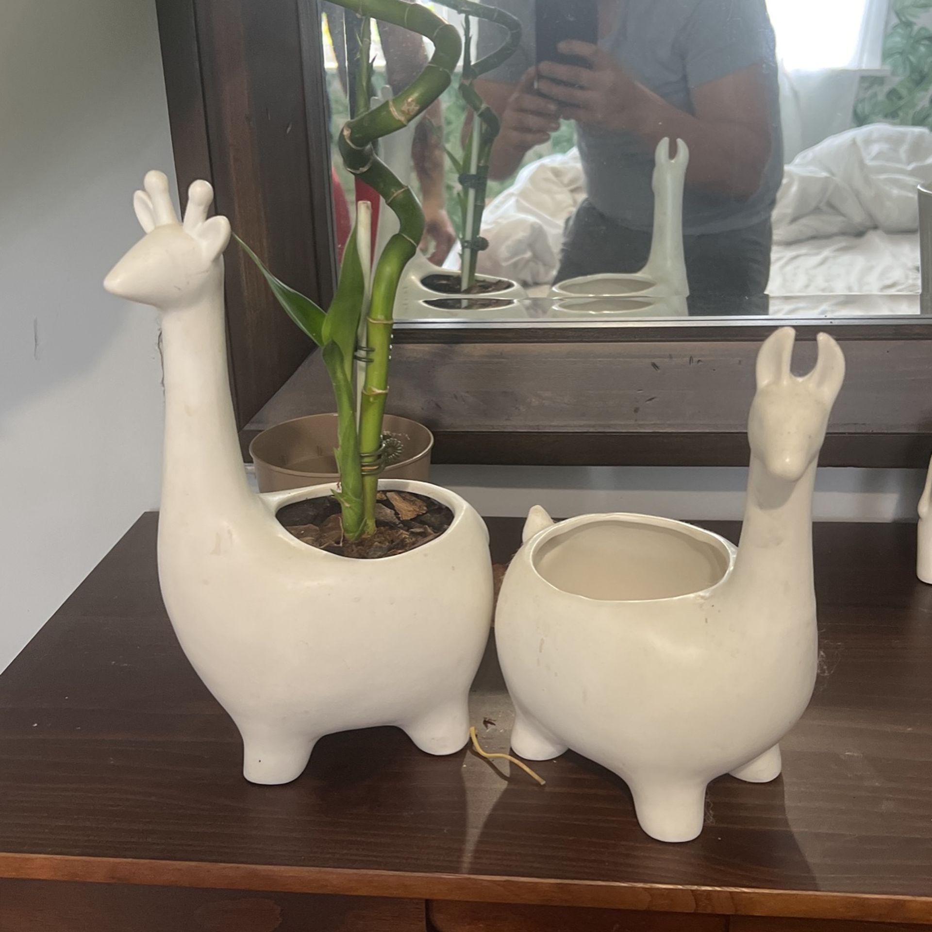 Indoor Planter
