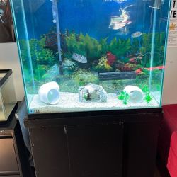 75 Gallon Tank And Stand 