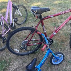 Bikes 