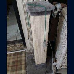 Para Gato