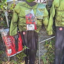 Avengers Hulk Halloween Custom
