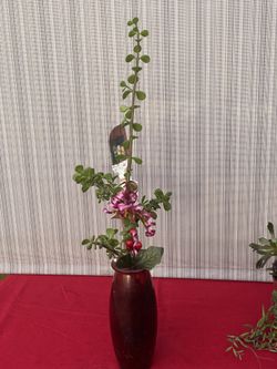 Give A Gift That Would Last And Grow!