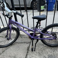 SPECIALIZED Kids “Hotrock” Bike “20 Purple Ages 5-12 Great Condition