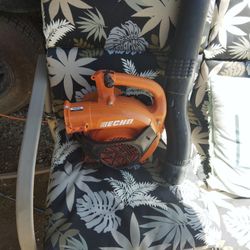 Echo Leaf Blower Gas