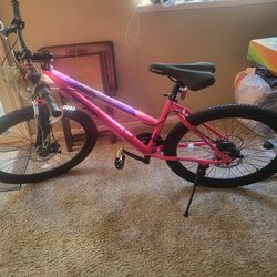 Ecarpat 26" mountain bike (brand new)