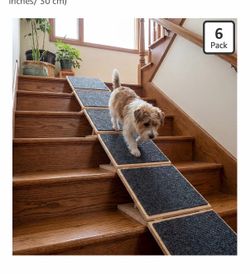 Dog ramp for stairs